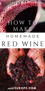 Homemade Red Wine