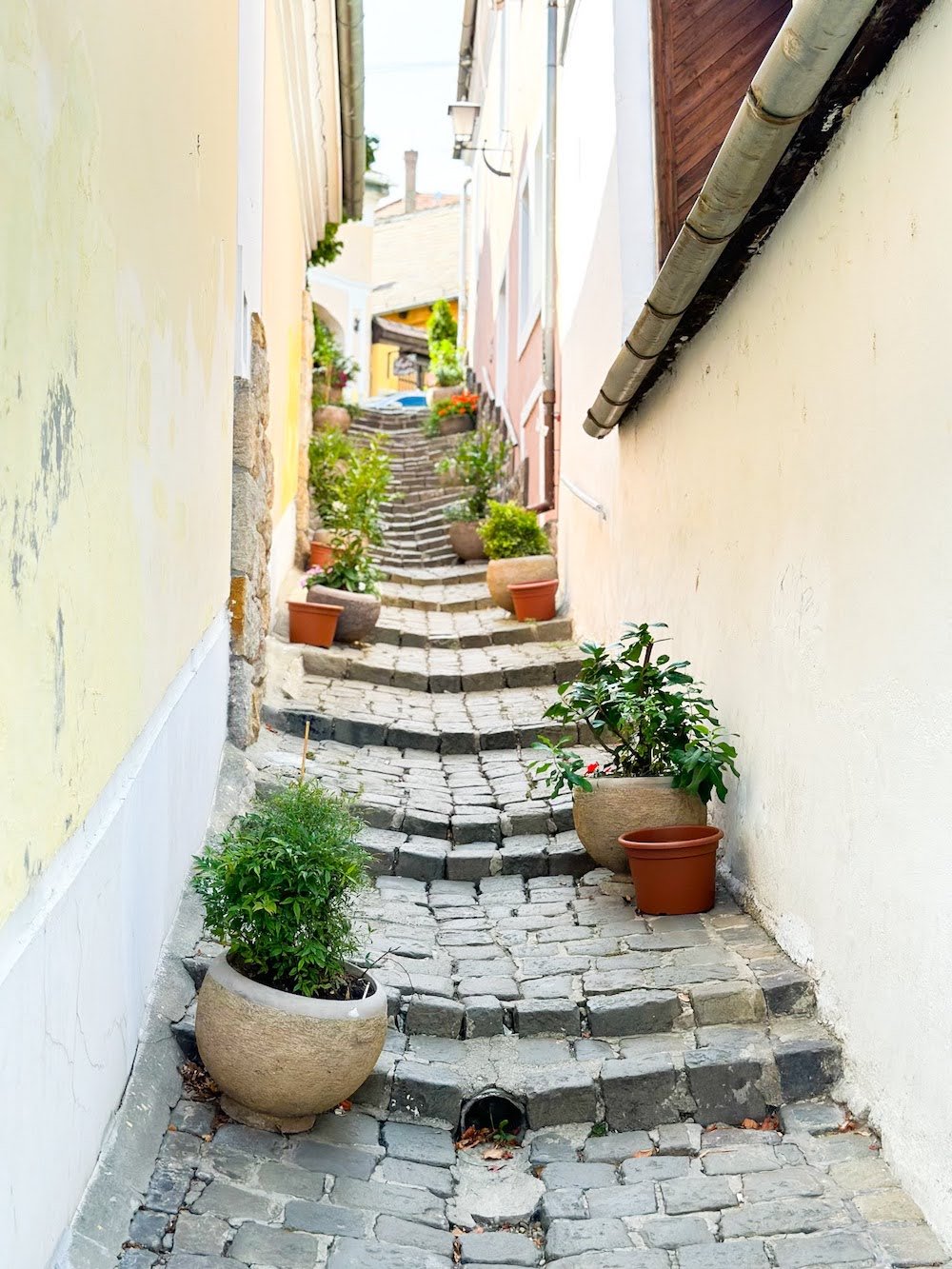 Take a Day Trip To Szentendre - things to do in Budapest