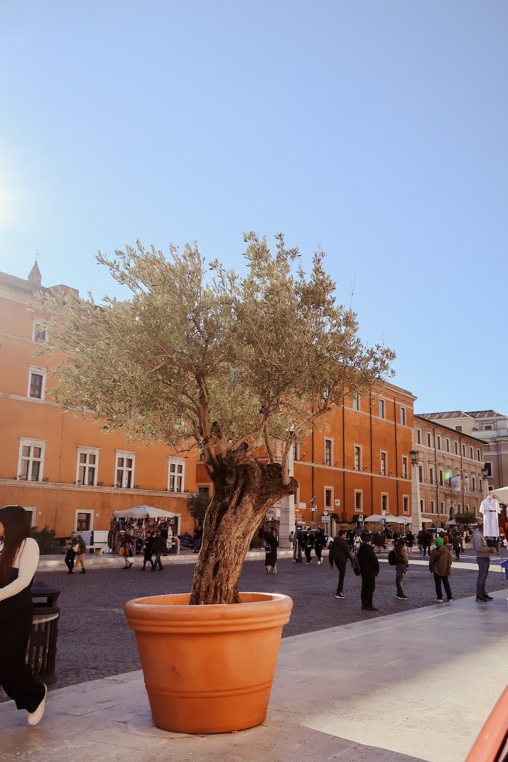 vatican - St. Peter Basilica