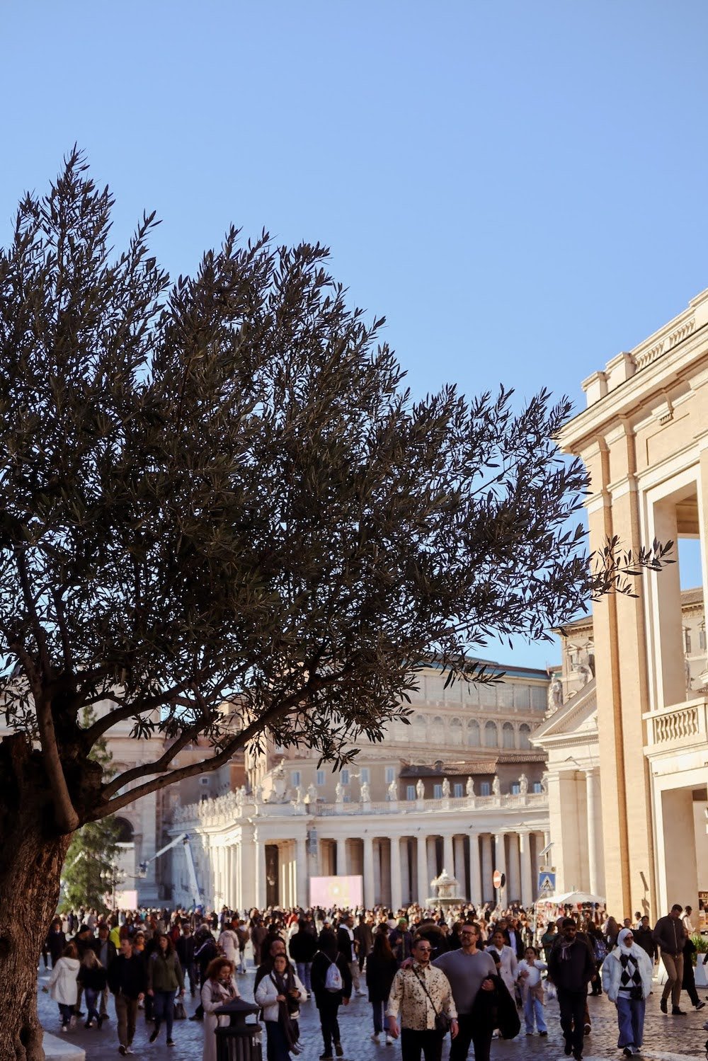 vatican - St. Peter Basilica