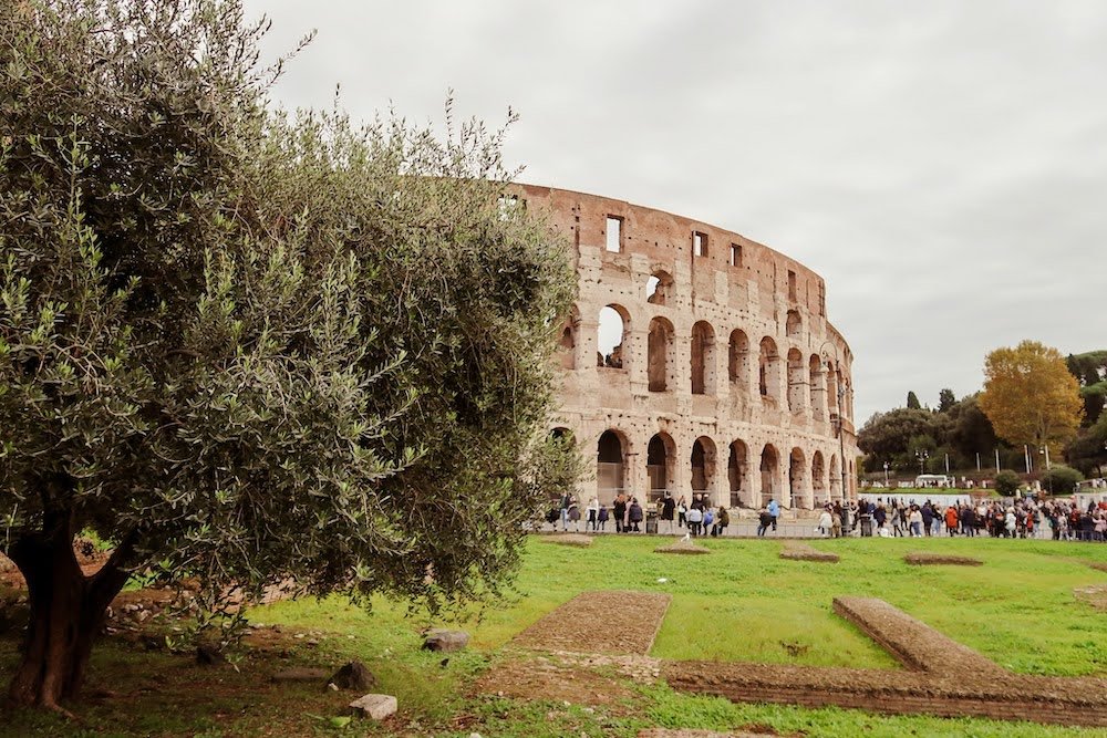 view over Colosseum coming from the Roman forum entry