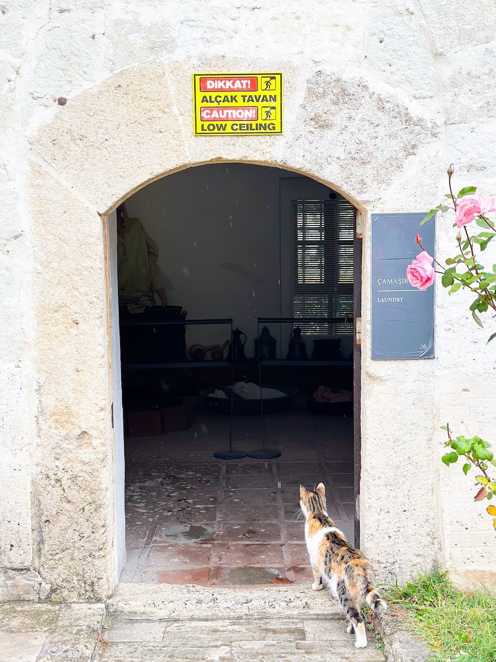Sultan Bayezid II Complex and Health Museum