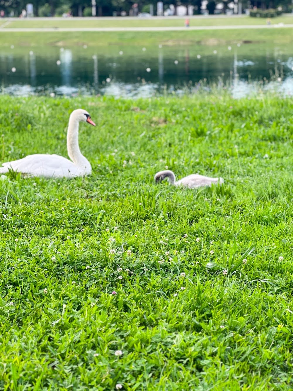 Jarun Park in Zagreb