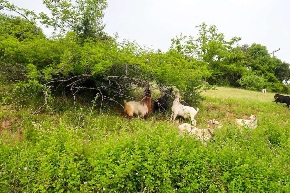 traveling through Northern Greece